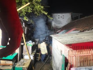 Si Jago Merah Amuk Rumah Warga di Kalanganyar, 18 Ekor Ayam Bangkok Ludes
