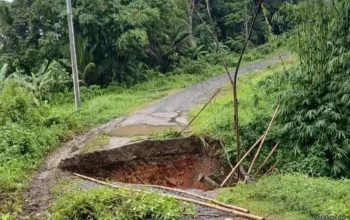 Longsor Tutup Jalan Sabagi–Muncang, Petani Gagal Panen 7 Longsor Tutup Jalan Sabagi–Muncang, Petani Gagal Panen I PojokPublik