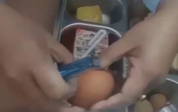 Diduga Tak Layak Konsumsi, Menu MBG SMAN 1 Cigemblong Viral 4 Diduga Tak Layak Konsumsi, Menu MBG SMAN 1 Cigemblong Viral I PojokPublik