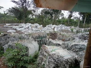 Satpol PP Lebak Belum Bertindak, Pembakaran Limbah Ilegal Tuai Sorotan