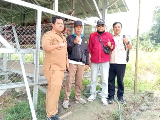Dana Desa Rp190 Juta, BUMDes Ciburuy Fokus Ayam Petelur
