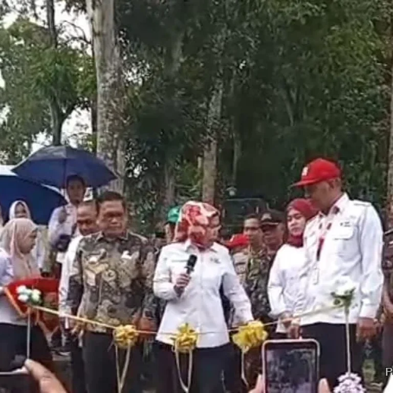 Ratu Tatu Chasanah Resmikan Gedung PMI Kabupaten Lebak 11 Ratu Tatu Chasanah Resmikan Gedung PMI Kabupaten Lebak I PojokPublik