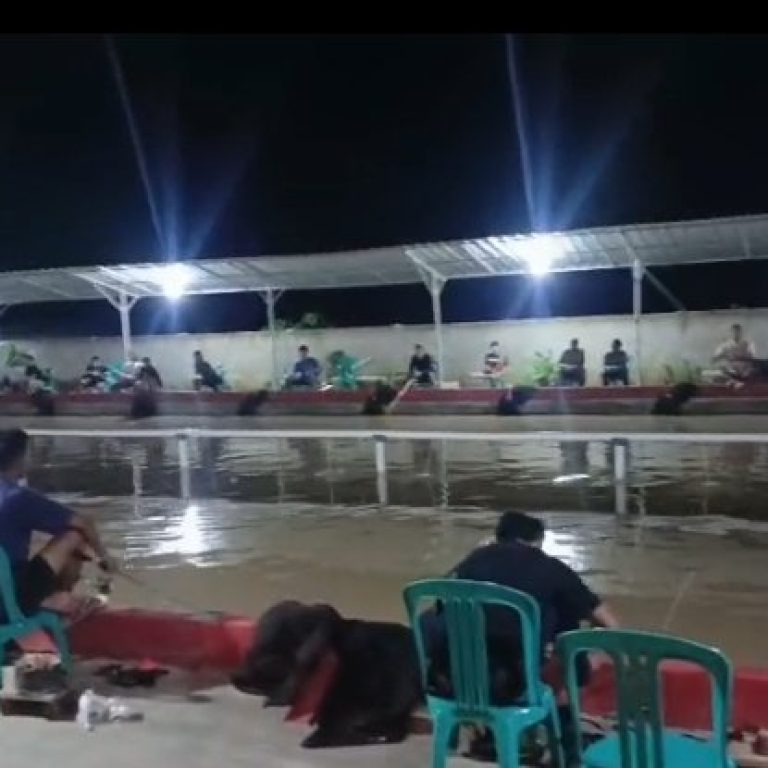 Pemancingan Kang Omat Jadi Magnet Baru Galatama Lele di Bojongleles 10 Pemancingan Kang Omat Jadi Magnet Baru Galatama Lele di Bojongleles I PojokPublik