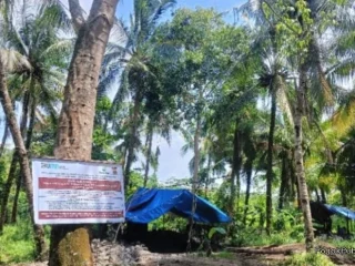 Lebak di Ancam Tambang Batubara Ilegal, Polisi dan Perhutani Buka Suara