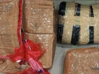 Laporan Warga Berbuah Penangkapan Bandar Narkoba di Bekasi