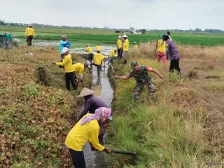 Babinsa Koramil 09/Mauk, Ikuti Program PKTD Bersihkan Saluran Irigasi