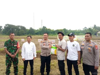 Wujudkan Ketahanan Pangan, Sertu Hasan Bantu Petani