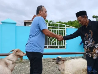Rayakan Idul Adha untuk Warga Papua, PT Kristalin Ekalestari Salurkan 41 Hewan Kurban