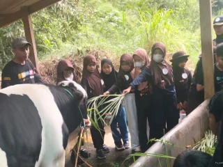 Memberi Makan Hewan Ternak Dapat Meminimalisir Ketergantungan Anak pada HP