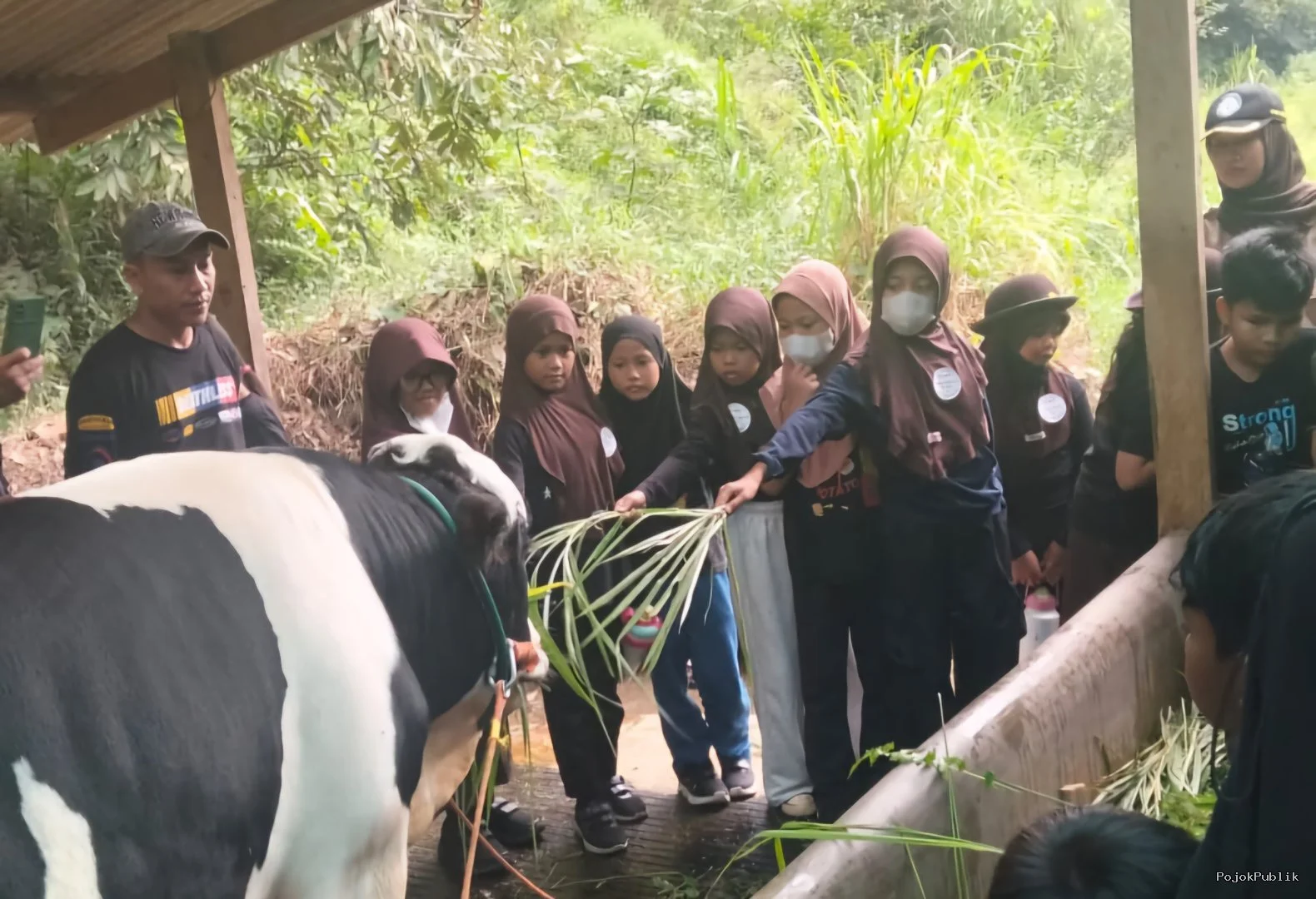Memberi Makan Hewan Ternak Dapat Meminimalisir Ketergantungan Anak pada HP 7 Memberi Makan Hewan Ternak Dapat Meminimalisir Ketergantungan Anak pada HP I PojokPublik