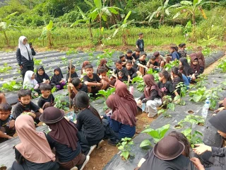 Bermain di Alam Terbuka, Cara Alami Mendukung Tumbuh Kembang Anak