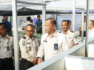 Bekal  Kembali  ke  Masyarakat  Lapas  Kelas  I  Medan  Ajarkan  Keterampilan  Pertanian  dan  Perikanan I PojokPublik