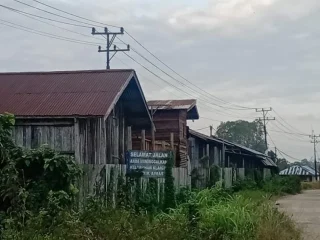Aktivitas Pengolahan Kayu di Jalan Intimpura Jadi Perhatian, Warga Pertanyakan Limbah I PojokPublik